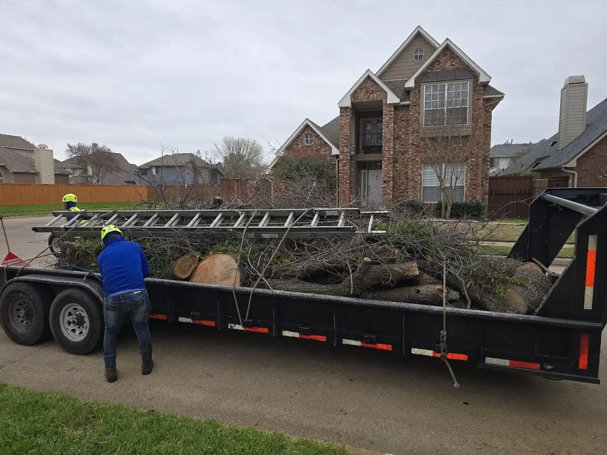 Expert Lot Clearing with proper safety equipment in Palatine